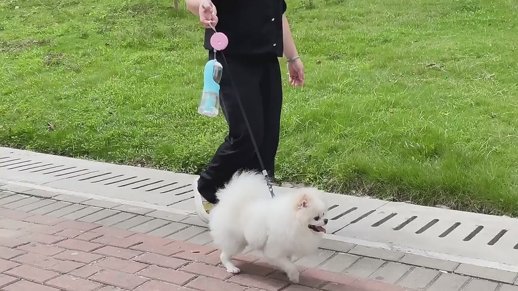 Dog Water Cup Drinking Food Garbage Bag Three-In-One Portable Small Multi-Functional Pet Cups Pets Supplies