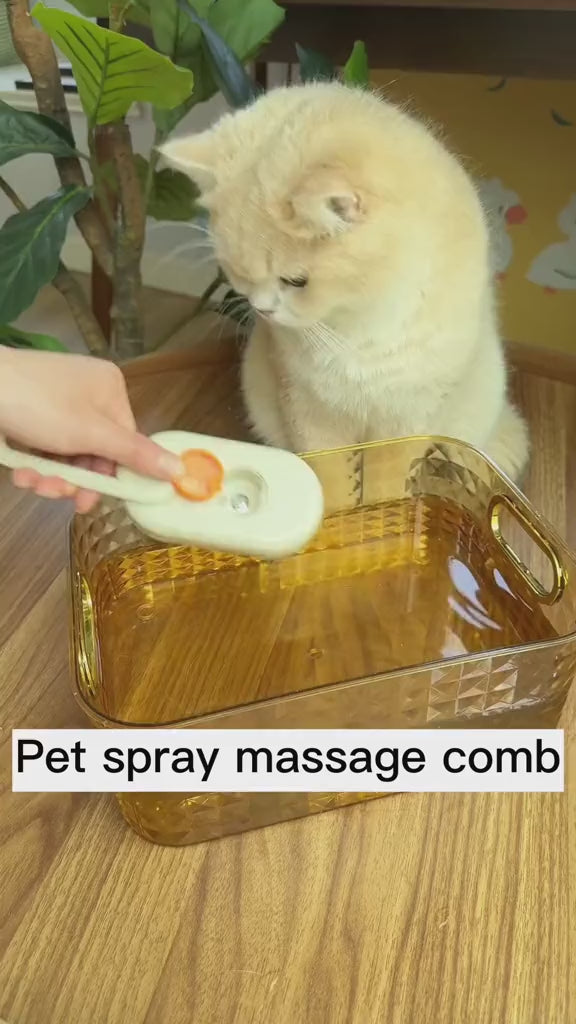 3-in-1 Electric Steam Pet Brush for Cats & Dogs – USB Rechargeable Grooming, Massage & Hair Removal Comb