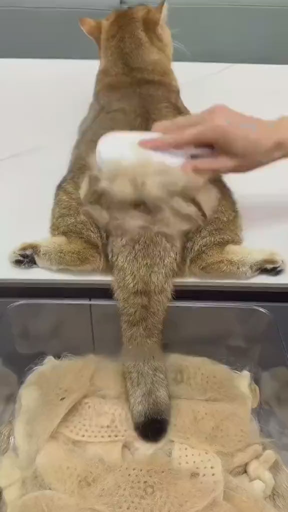 3-in-1 Electric Steam Pet Brush for Cats & Dogs – USB Rechargeable Grooming, Massage & Hair Removal Comb